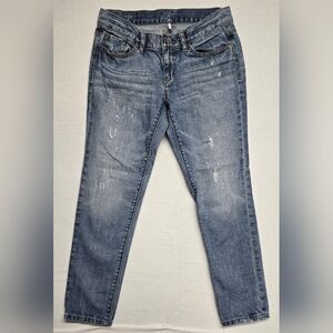 Ann Taylor 2P / 26 Boyfriend Blue Jeans 5 Pocket Zipper Fly Distressed